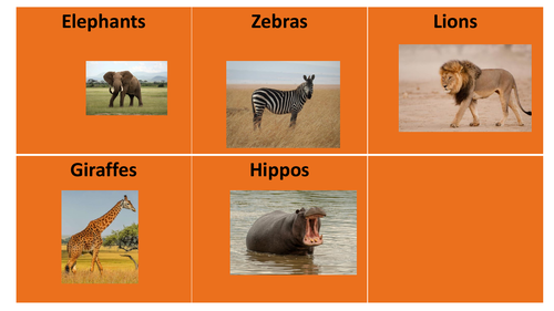 African Animals Colourful Semantics