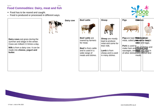 Dairy, meat and fish Knowledge Organisers 5-7 years