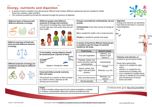 Energy, nutrients and digestion Knowledge Organiser 7-11 years