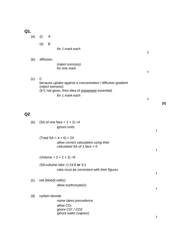 GCSE 9-1 diffusion worksheet