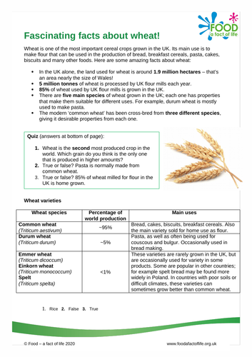Wheat factsheet