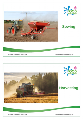 Field to bread cards