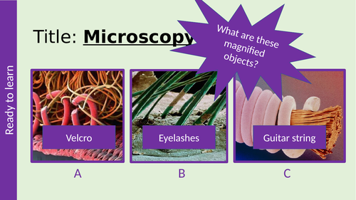 Microscopy GCSE AQA Biology light & electron microscopes