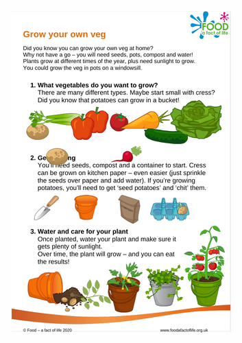 Grow your own veg