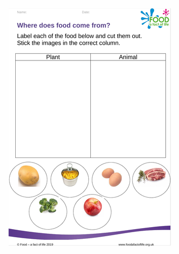 where-food-comes-from-teaching-resources