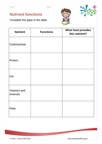 Food route - Nutrient functions