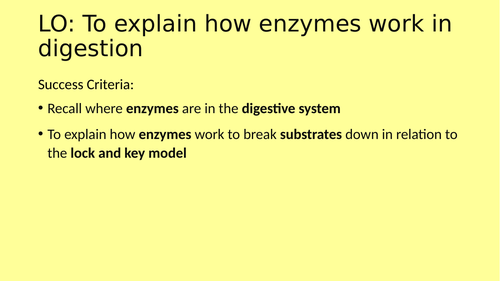 Enzymes - Nutrition and Digestion