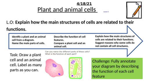 Animal and Plant Cells | Teaching Resources