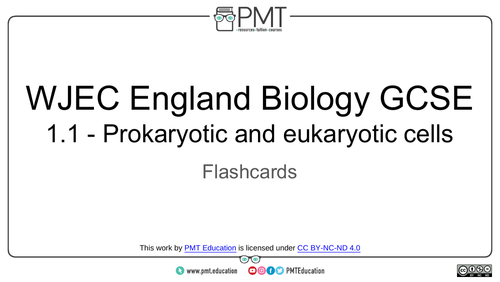 WJEC England/ Eduqas GCSE Biology Flashcards
