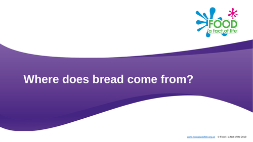 Where does bread come from?