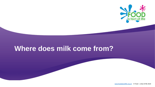 Where does milk come from?