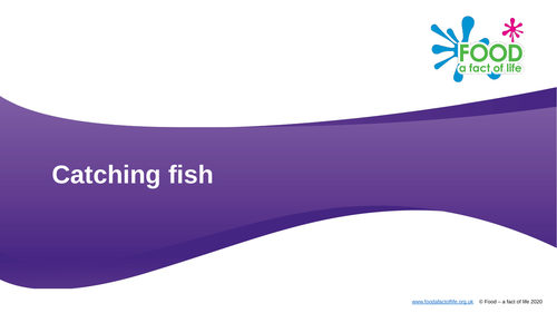 Catching fish | Teaching Resources