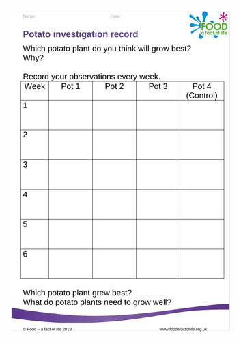 Potato investigation (2)