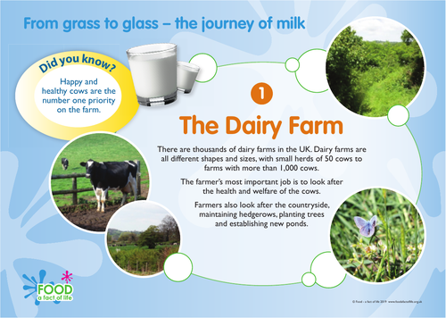 The journey of milk frieze