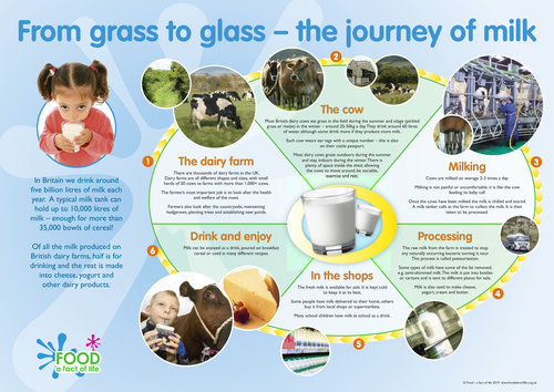 From grass to glass poster