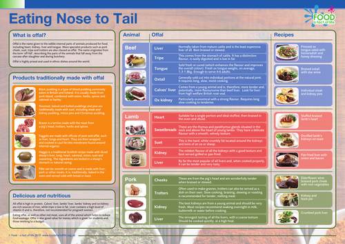 Nose to tail poster