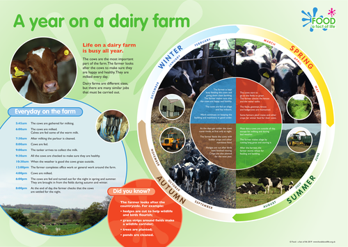 A year on a dairy farm poster