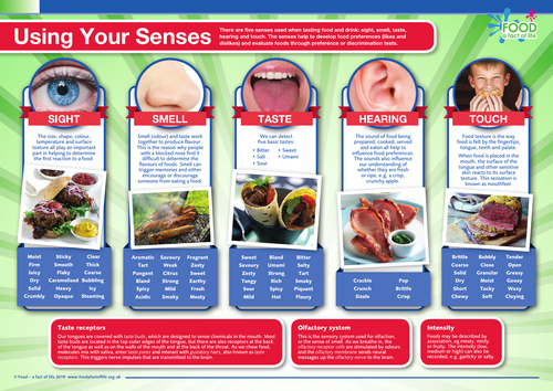 Using your senses poster