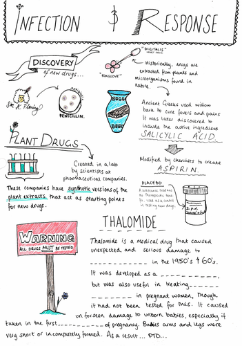 Development & Testing Drugs - GCSE Biology AQA