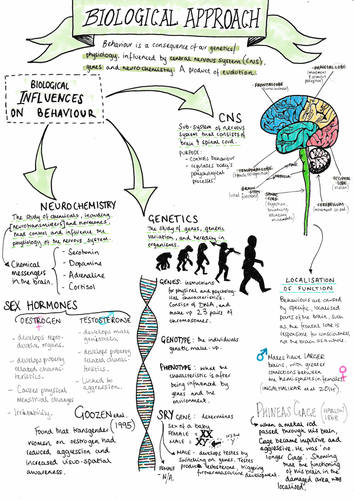 what is the basic assumption of the biological approach in psychology