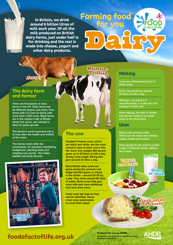 Farming food for you - dairy