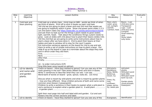 Plants and seasonal changes planning year 1