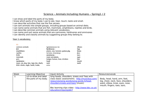 Animals including humans planning year 1