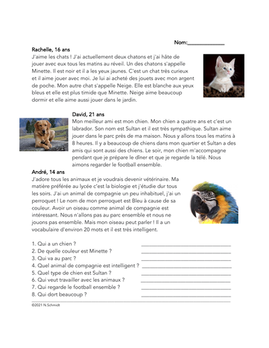 Mes Animaux de Compagnie Lecture: Pets French Reading