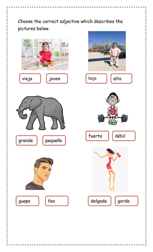Spanish- Adjectives ( Physical Characteristics)