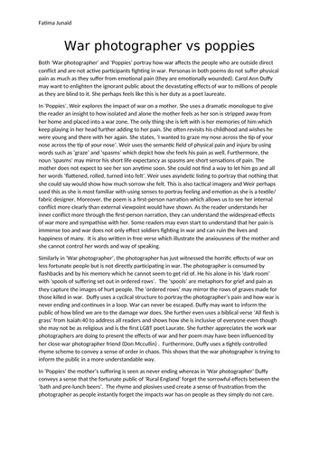 War photographer and poppies essay picture