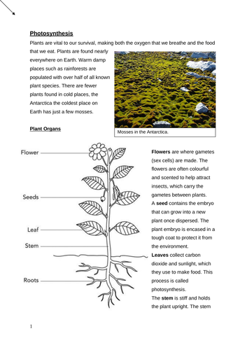 GCSE Photosynthesis Booklet