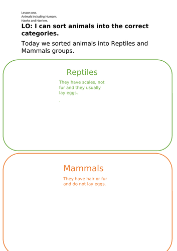 Animals including Humans Year 1