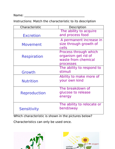 Characteristics of Living Things