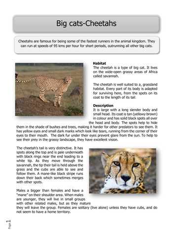 Wild Animals -KS2- 8 different reading  comprehension texts