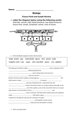 GCSE Biology Circulatory System- Tissue Fuid and Lymph