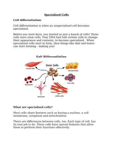 specialized cells assignment