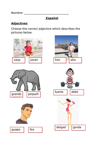 Spanish Adjectives /Adjectivos ( Physical Characteristics)