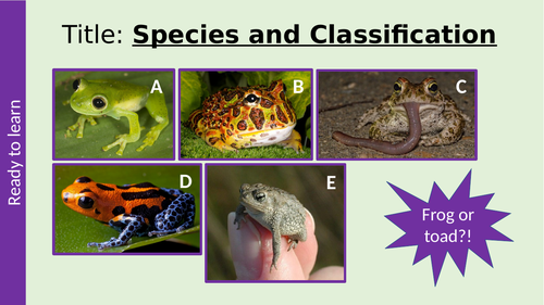 AQA Species, Courtship and Classification A Level Biology