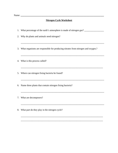 GCSE Biology Nitrogen Cycle Worksheet