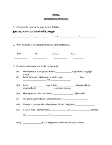 GCSE Biology Photosynthesis