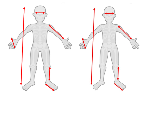 Comparing length using standard measures - year 1