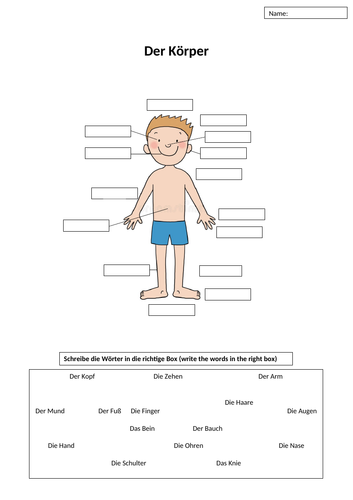 Der Körper - Arbeitsblatt