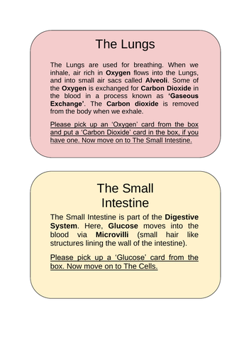 Respiration Activity - Free