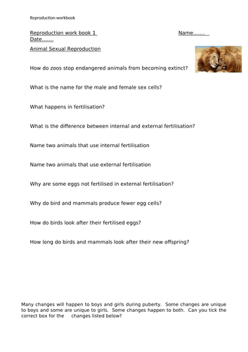 Reproduction workbook