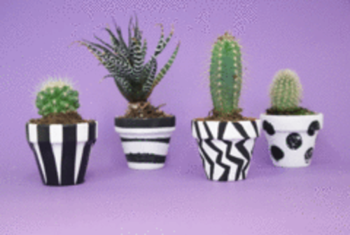 Make An Op-Art Plant Pot