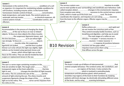 AQA GCSE Biology (9-1) B10 The human nervous system - Gap fill mind map for revision
