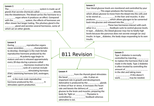 AQA GCSE Biology (9-1) B11 Hormonal Coordination - Gap fill mind map for revision