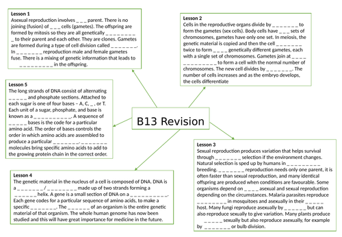 AQA GCSE Biology (9-1) B13 Reproduction - Gap fill mind map for revision
