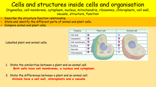 Cells and structures inside cells, KS3, KS4, GCSE