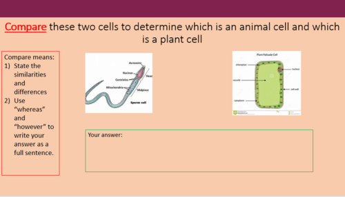 Cell structure, KS3, KS4, GSCE | Teaching Resources